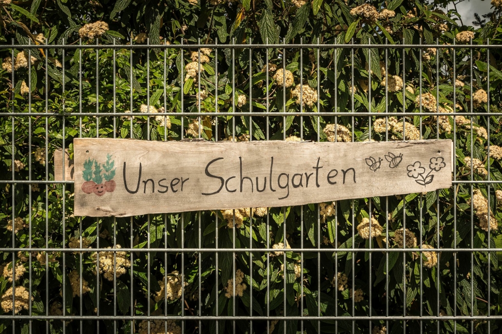 xD75_7886 Foto